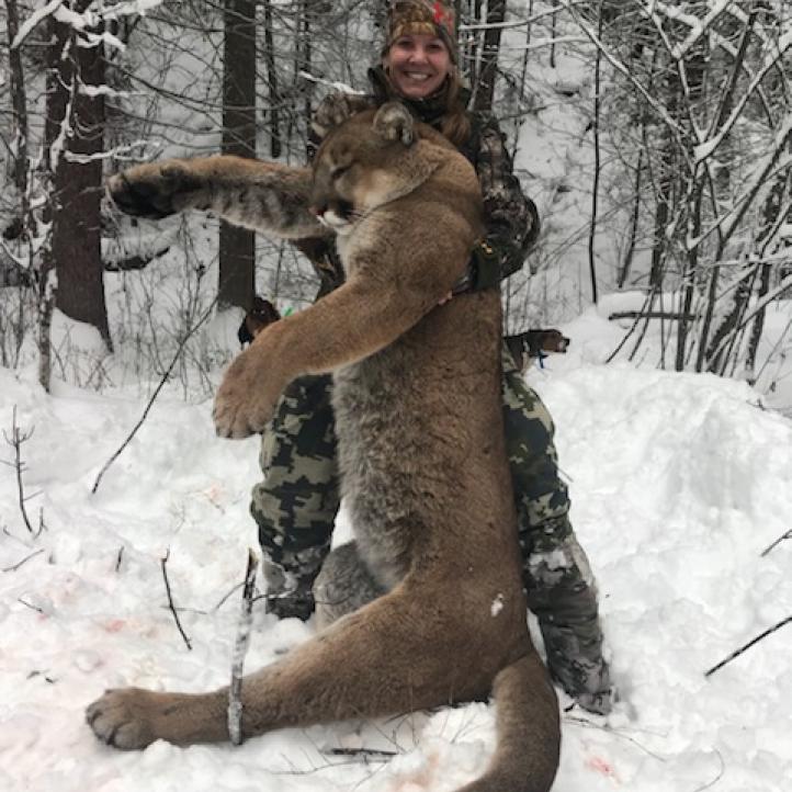 lynx-bobcat-cougar-hunts-british-columbia-canada-hunting-guides